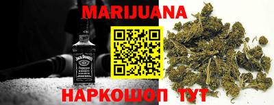 альфа пвп Новодвинск