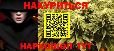 альфа пвп Новодвинск