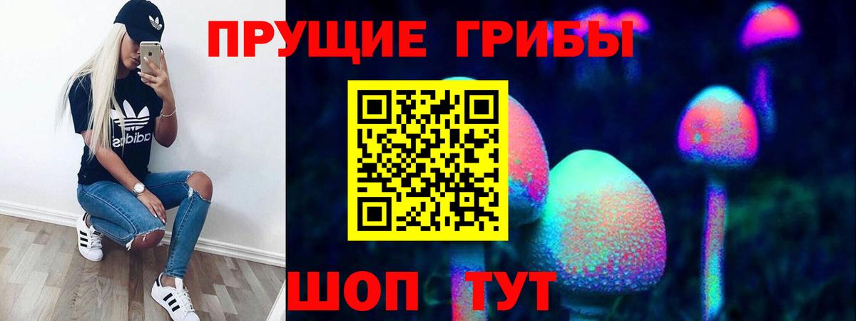 Галлюциногенные грибы прущие грибы  Псилоцибиновые грибы Magic Shrooms  Вход с VPN  Сухой Лог 